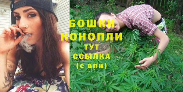 сатива Белокуриха