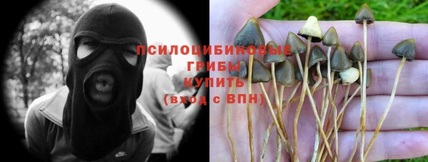 сатива Белокуриха