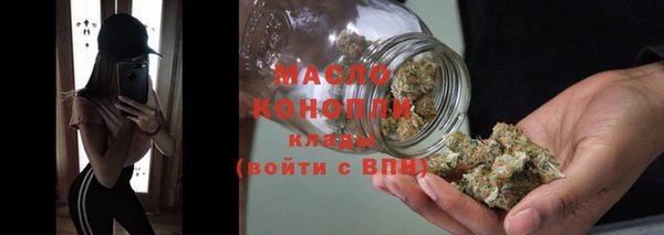 спиды Богородицк