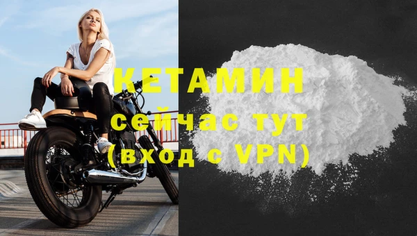 сатива Белокуриха