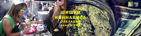 сатива Белокуриха