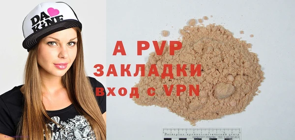 сатива Белокуриха