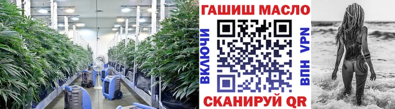 Дистиллят ТГК THC oil  OMG ССЫЛКА  Ковдор 