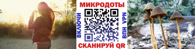 Галлюциногенные грибы Psilocybine cubensis мега маркетплейс Ковдор